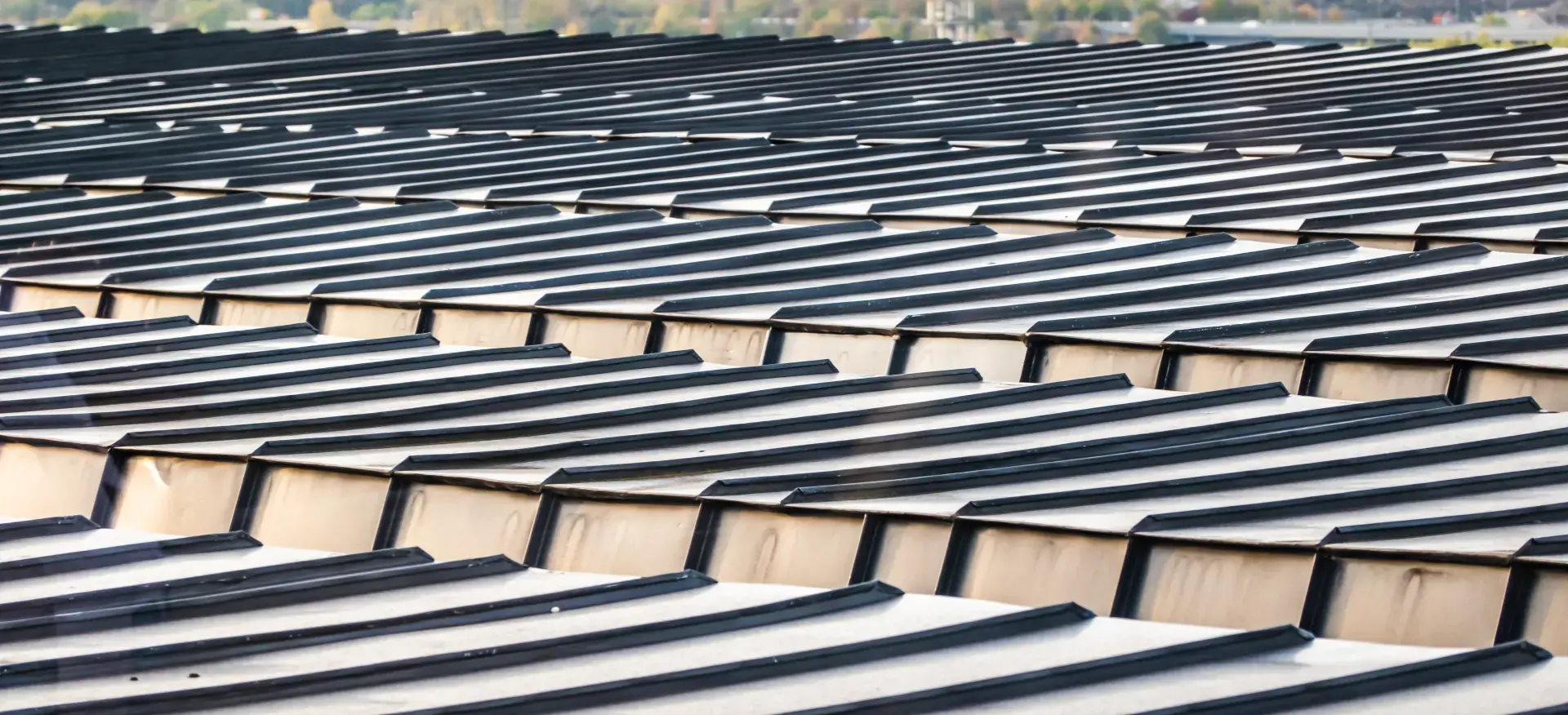 Common Types of Metal Roofs for Businesses Image